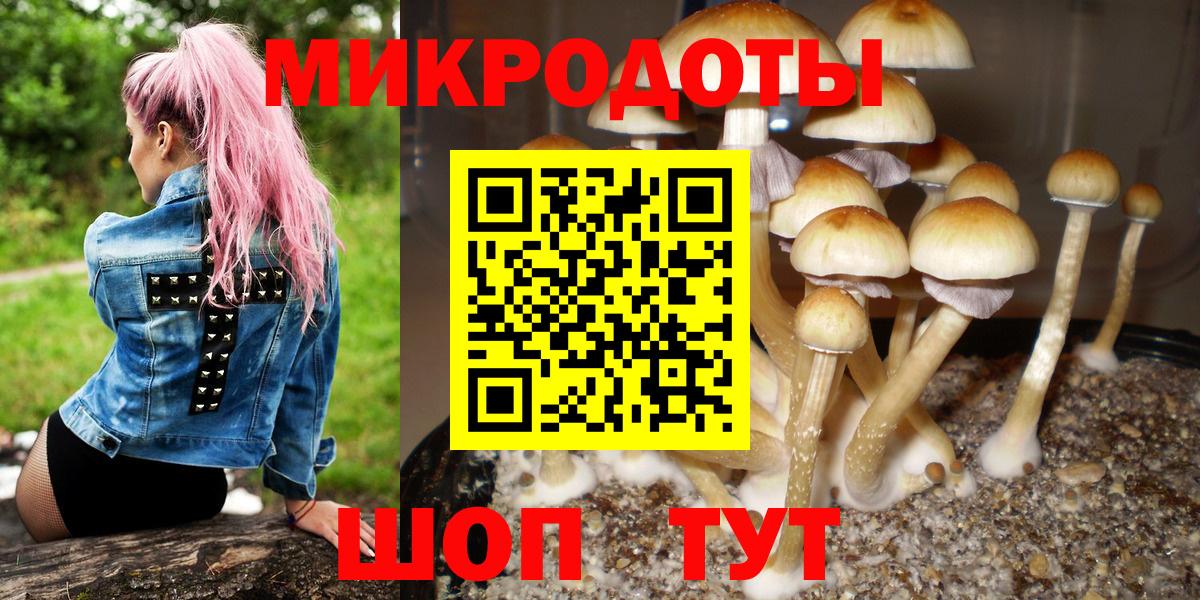 Галлюциногенные грибы Magic Shrooms  Вход с VPN  Полысаево  Псилоцибиновые грибы мухоморы 